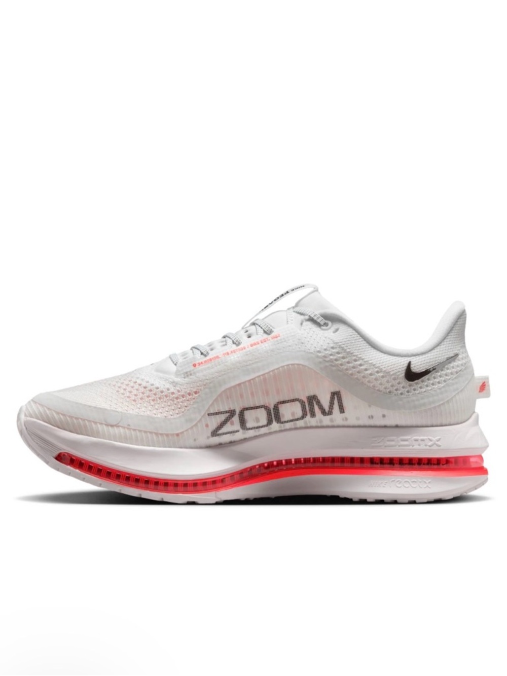 Nike Women’s pegasus running shoes
